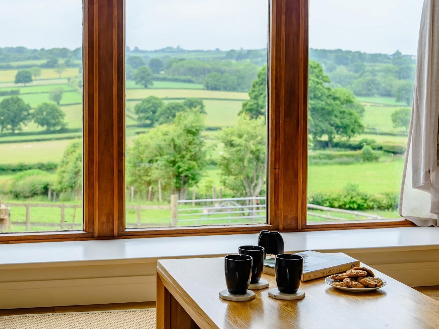 A room with a large window offering a view of a green landscape. There is a wooden table with four black cups and a plate of cookies.