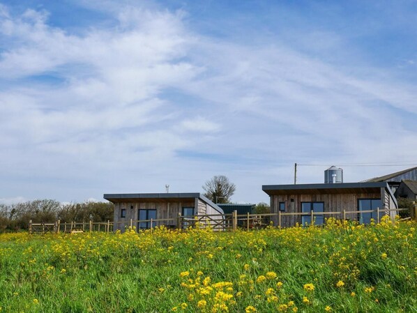 Dos cabañas modernas de madera con grandes ventanas, rodeadas por un campo de flores amarillas bajo un cielo despejado.