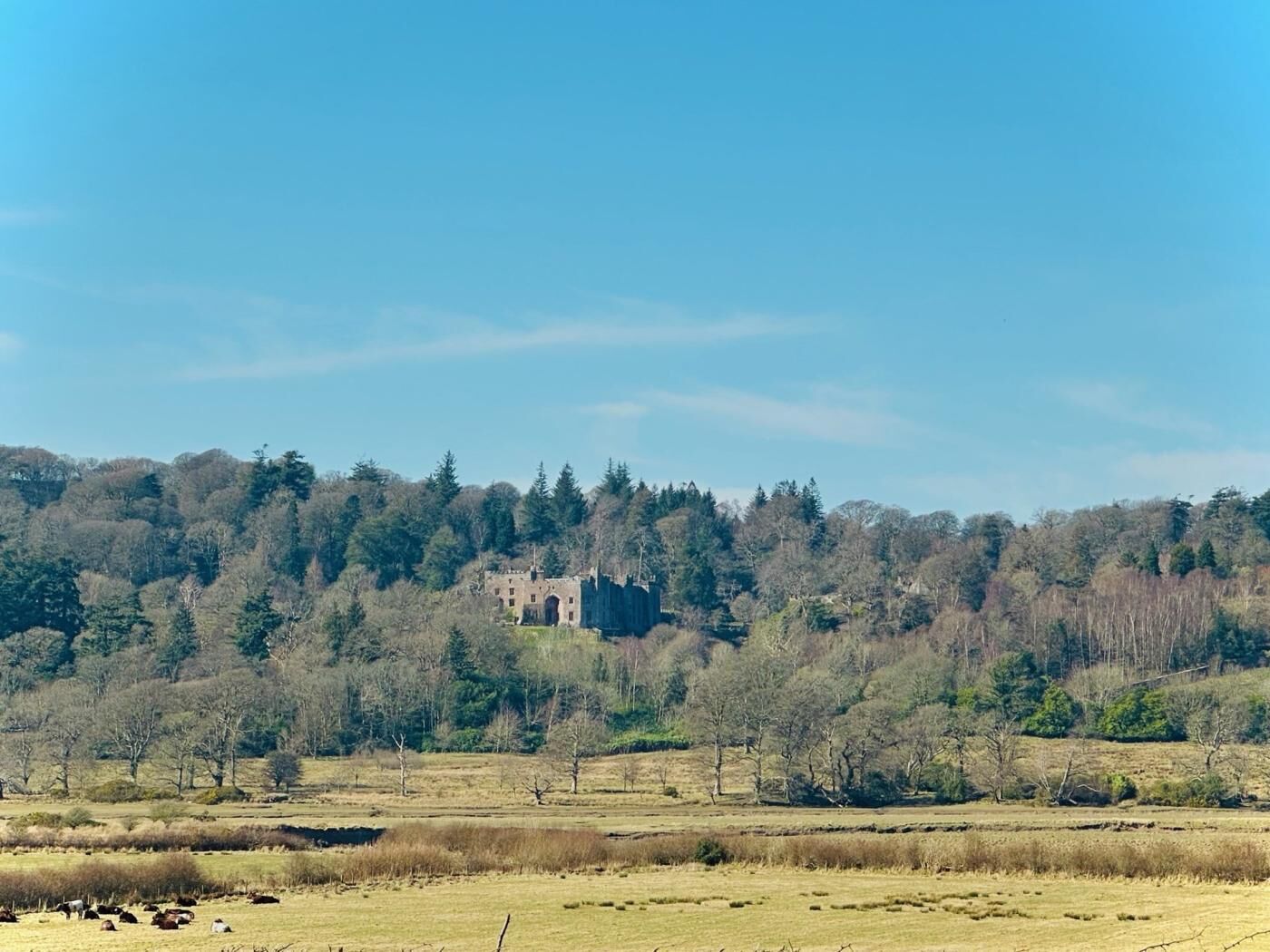 A rural landscape with a castle-like structure on a hill, surrounded by trees and open fields.