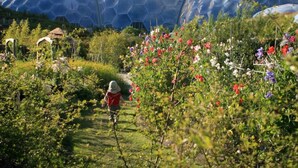 A garden with large geodesic domes in the background. - 4 Bed in Torpoint (oc-89135) (Deviock)