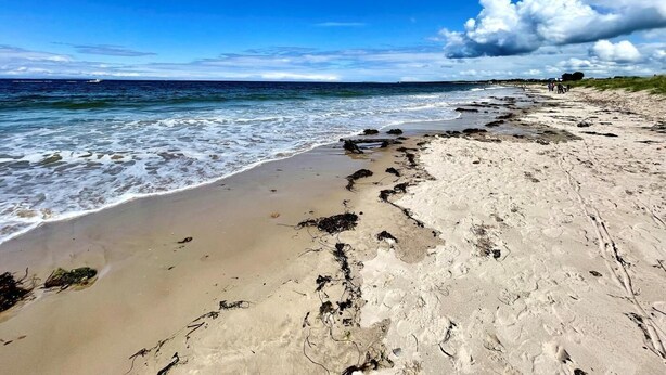 Ein Strand mit blauem Himmel, Wellen und Fußspuren im Sand.