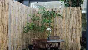 Ein Bambuszaun, ein Holztisch und ein Stuhl in einem Garten.