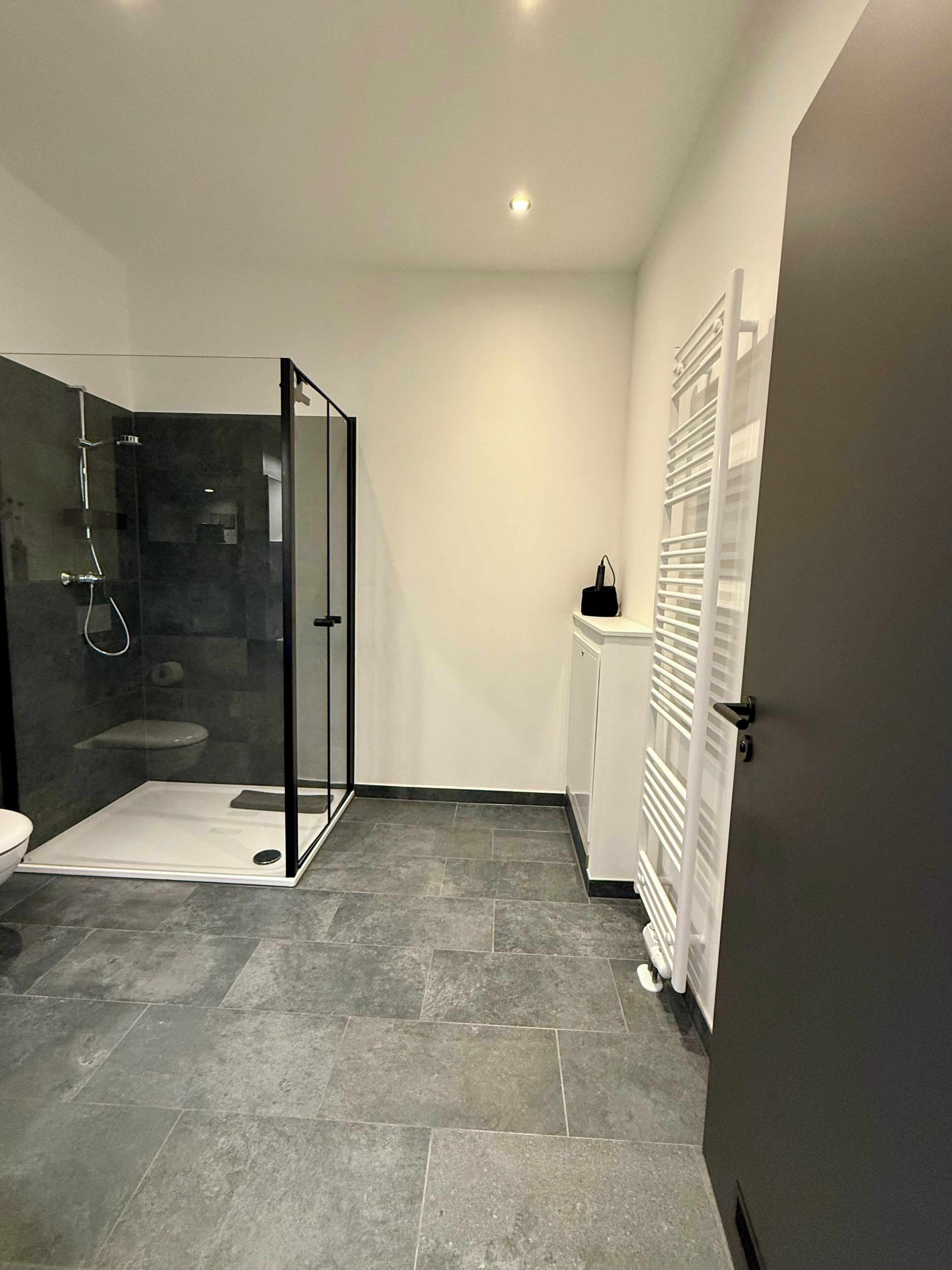 A modern bathroom with a glass shower enclosure, a toilet, and a cabinet.