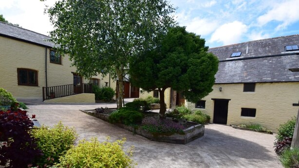Une cour avec un chemin pavé, un arbre et des parterres de fleurs.