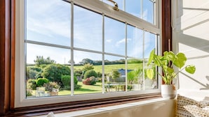 Ventana con vista a un jardín, una planta en maceta y un cojín.