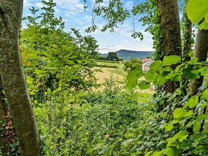 A lush green landscape with trees and a distant view of a house. - 1 Bed in Brecon (oc-bn157) (Llanfihangel Tal-y-llyn)