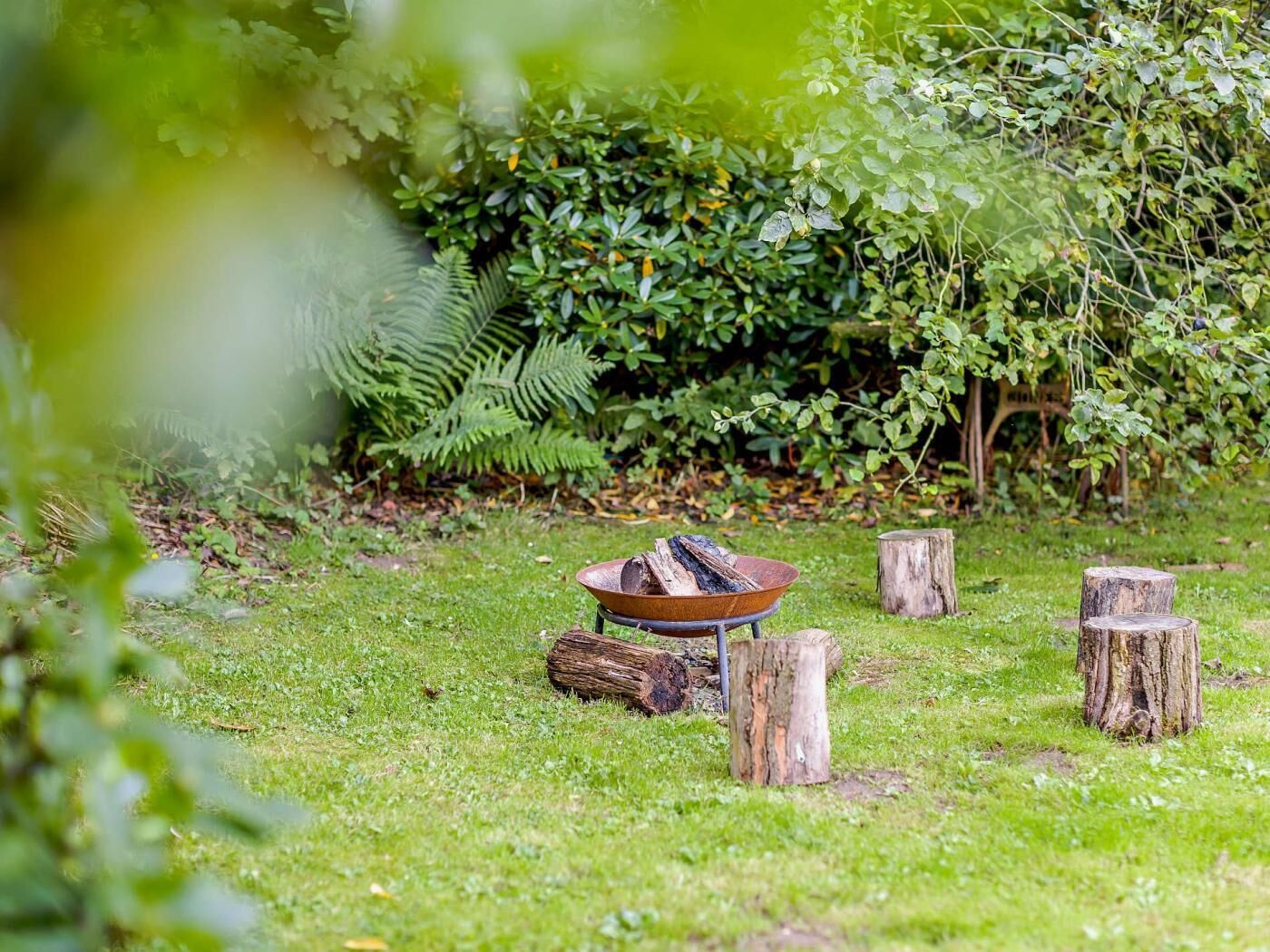 A garden with a fire pit, logs, and stumps.