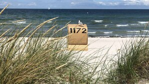 Escena de playa con un cartel marcado '1172' en primer plano, una gaviota posada sobre el cartel y un velero a lo lejos.