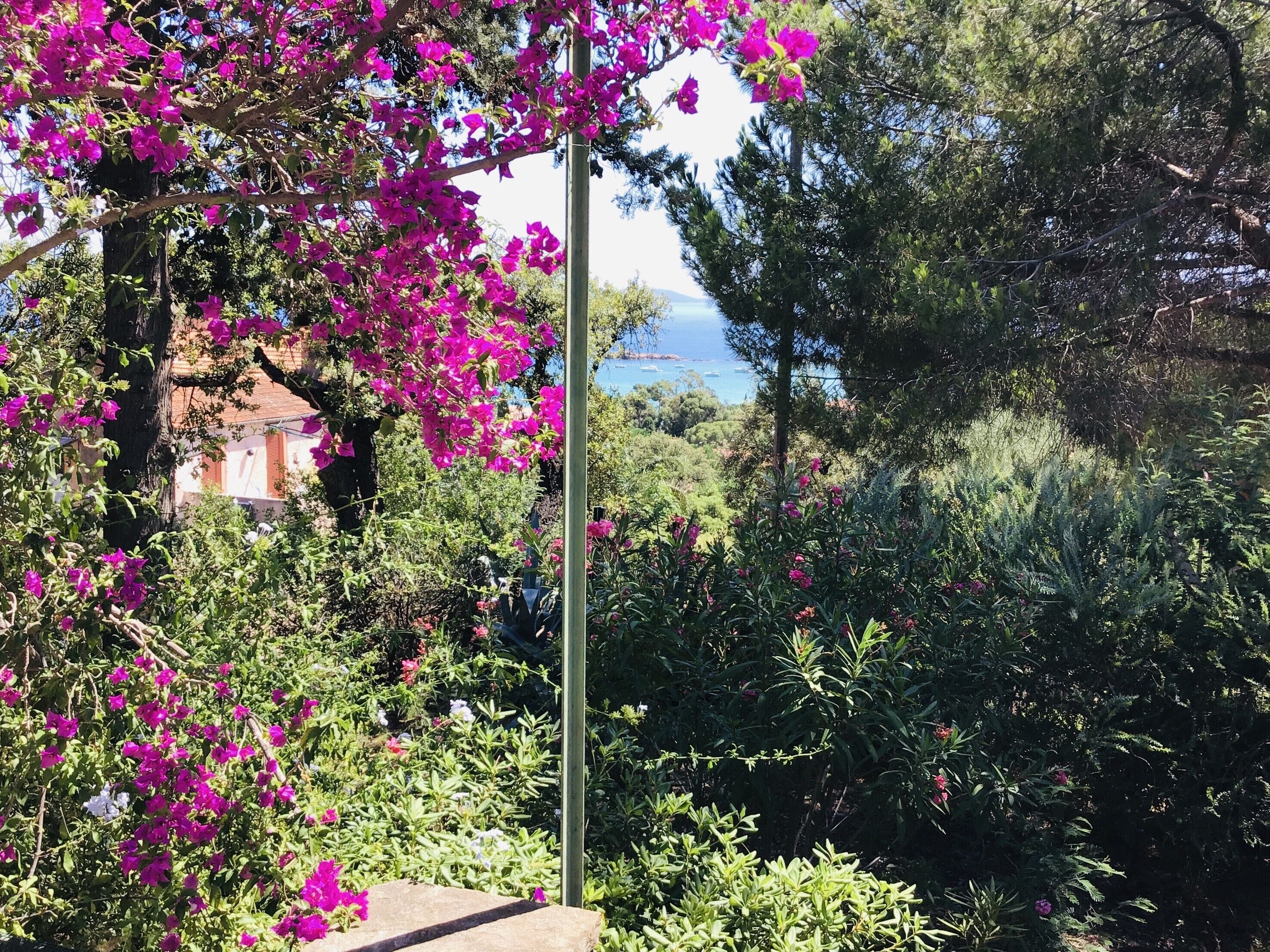 Een tuin met bougainvillea bloemen, een stenen bank en uitzicht op zee.