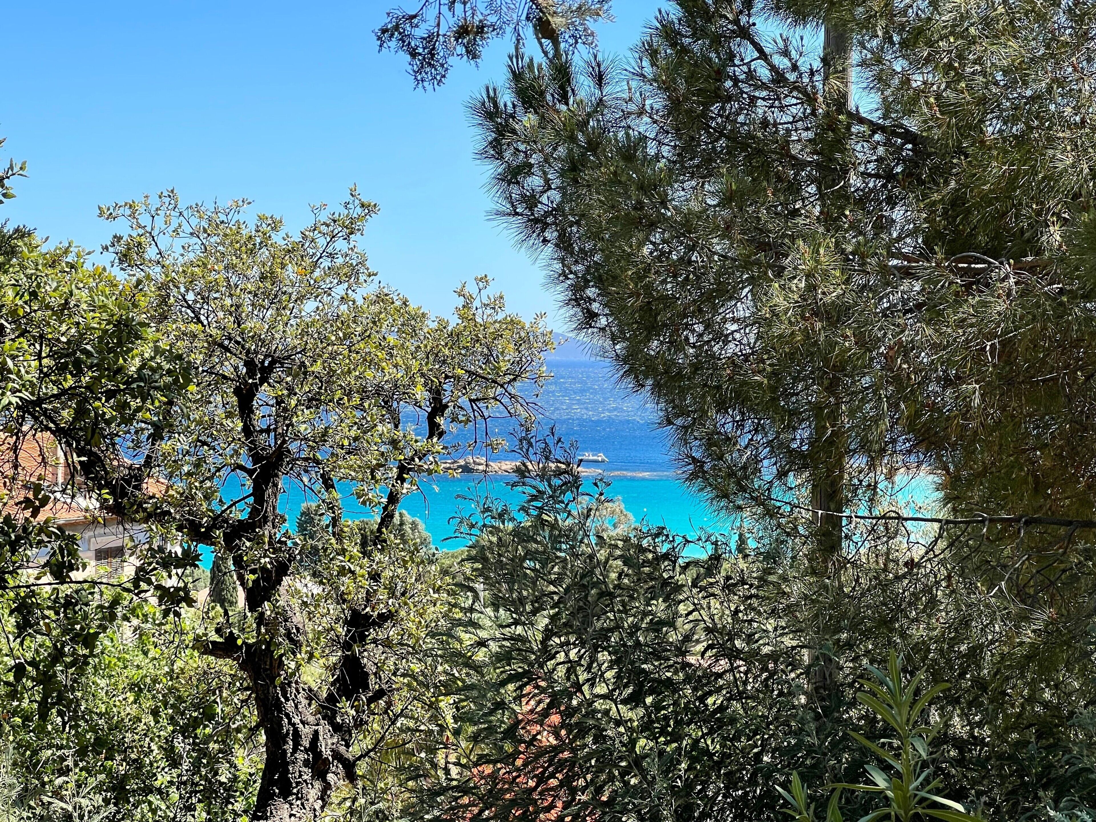 A coastal view with trees and a clear blue sea.