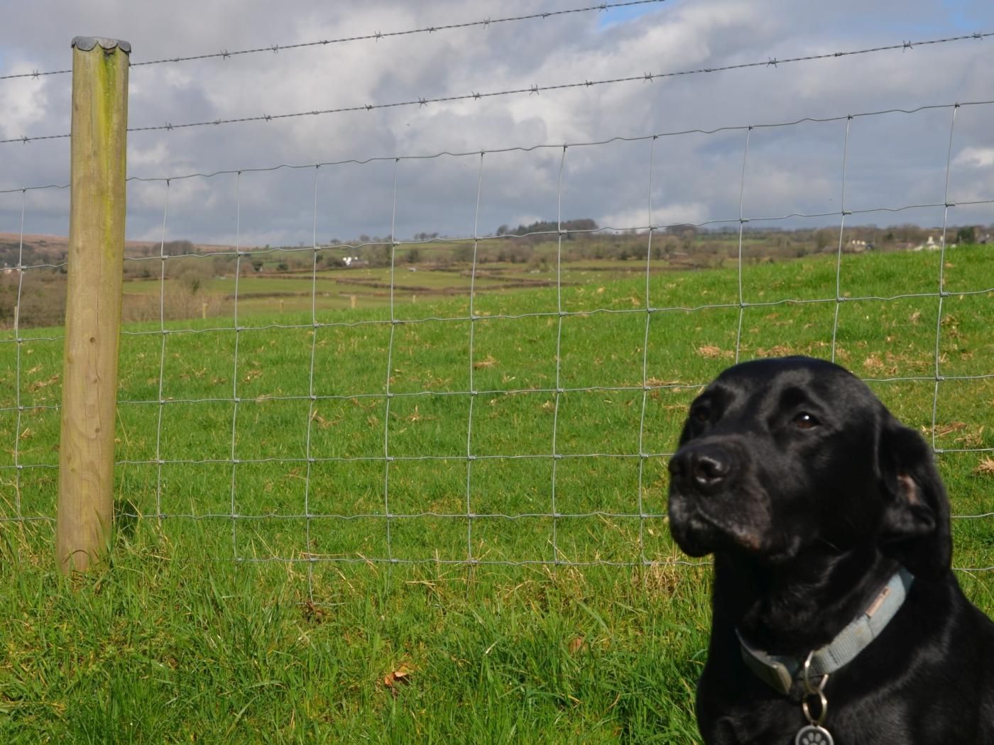 Far reaching views and countryside walks on Dartmoor