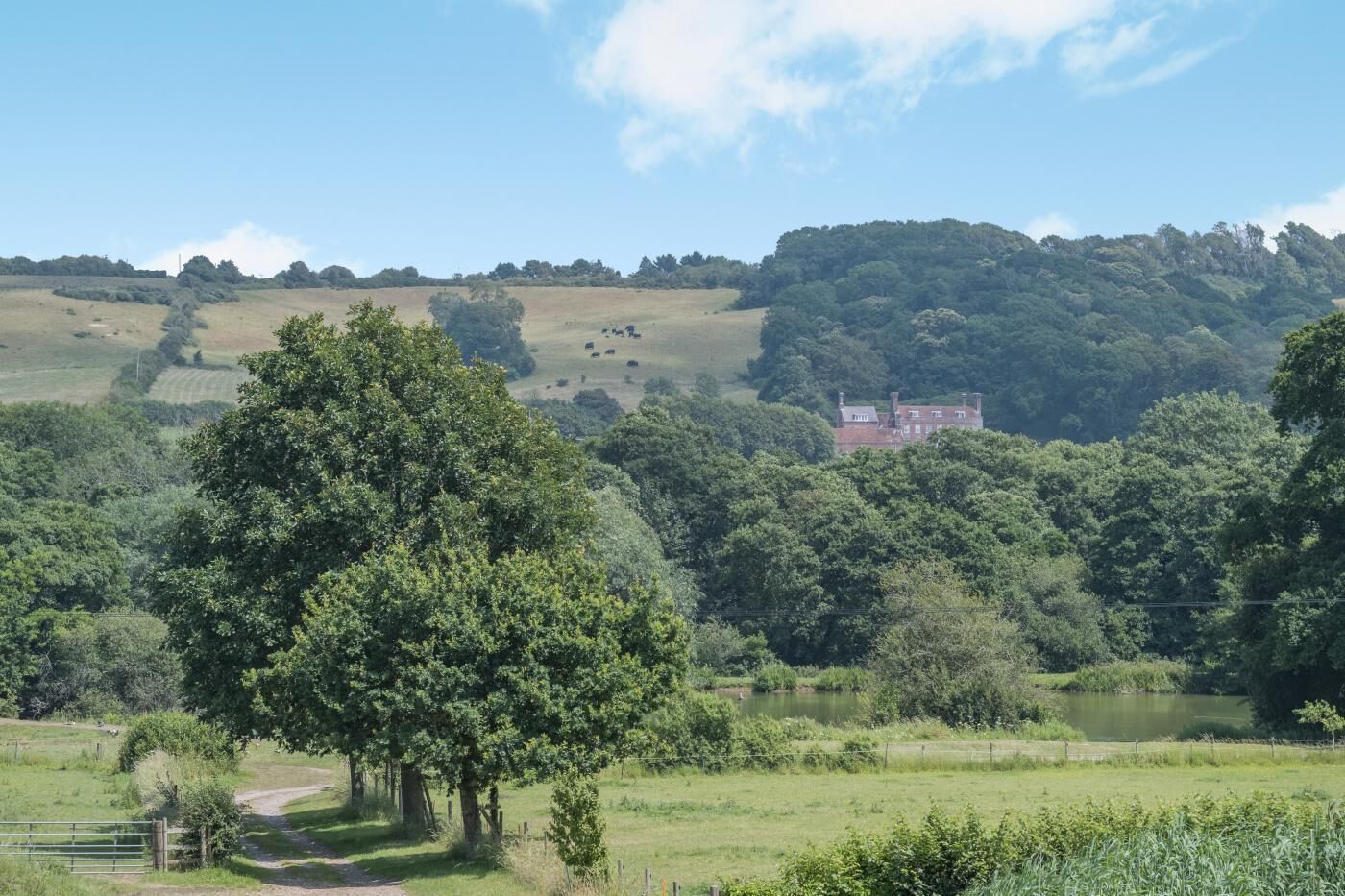 A rural landscape with a house on a hill, surrounded by trees and fields.