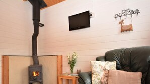 Una televisión, una chimenea