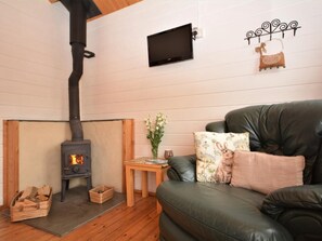 Fernseher, Kamin