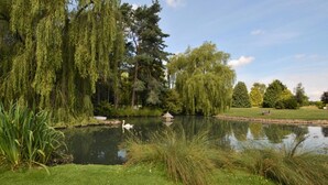 Un étang paisible bordé de saules pleureurs, avec un cygne et un kiosque.
