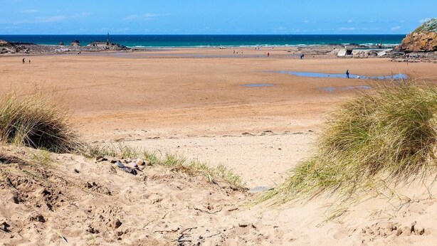 Strand