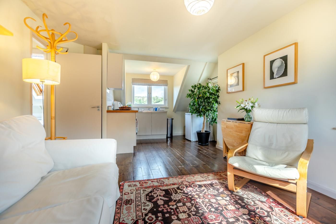 A room with a white sofa, a patterned rug, a wooden chair, a floor lamp, and a potted plant.
