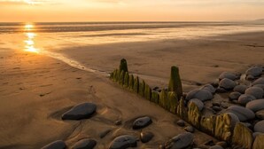 A beach with a row of rocks and a wooden fence. - 3 Bed in Bideford (oc-burfl) (Higher Clovelly)