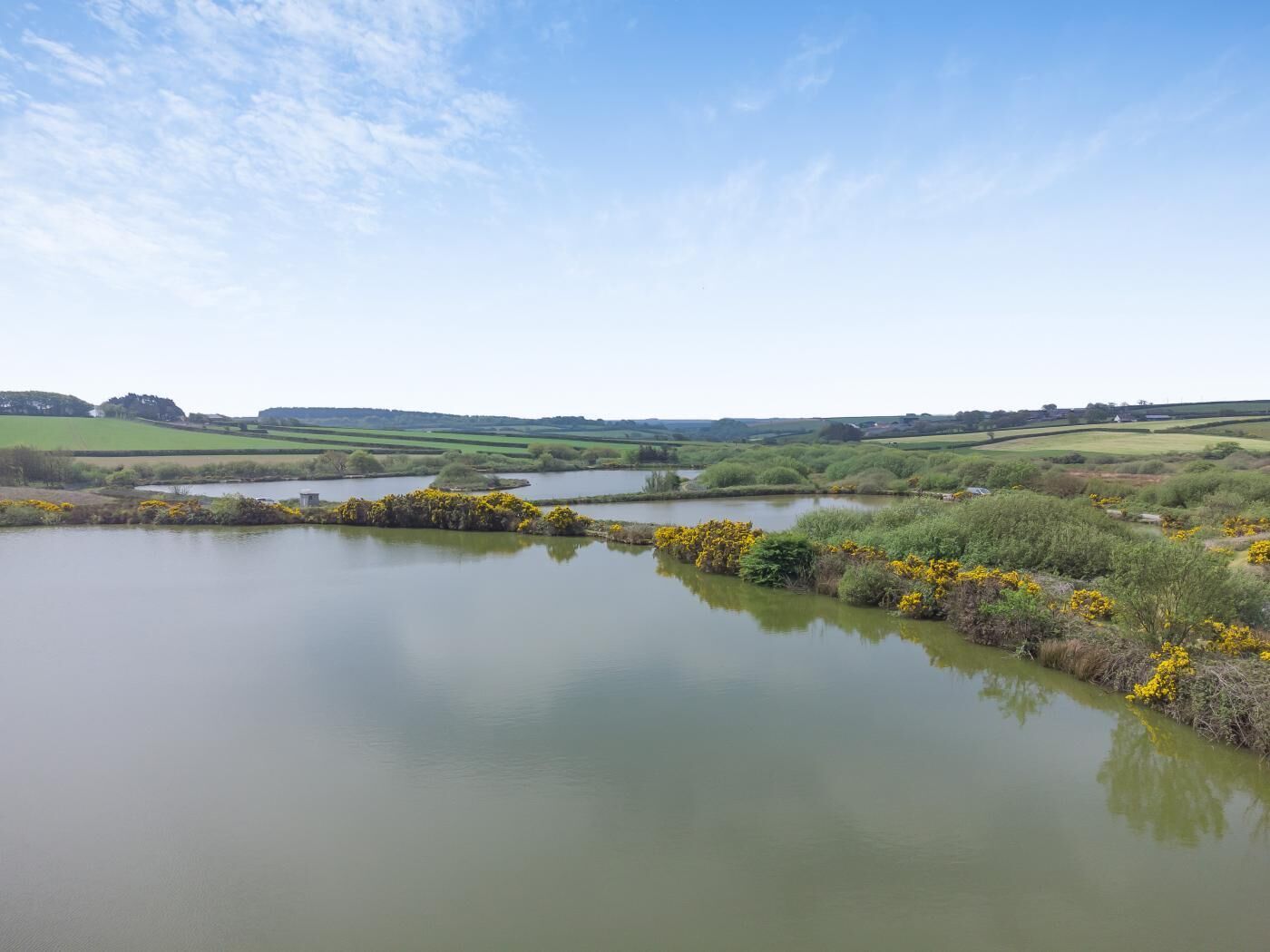 Ein ruhiger See, umgeben von grünen Feldern und gelben Blumen.