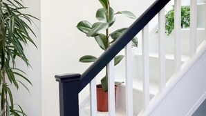 Una escala amb baranes blanques i una barana negra, que condueix a un vestíbul amb una paret blanca i una prestatgeria metàl·lica amb plantes.