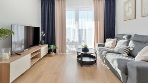 Fernseher, Arbeitsbereiche