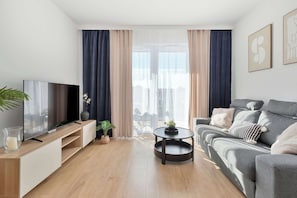 Fernseher, Arbeitsbereiche