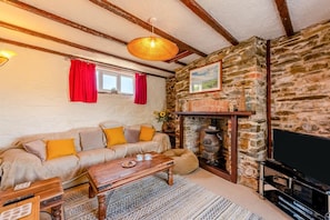 TV - 5 Bed in Bideford (oc-codar) (Westward Ho!)