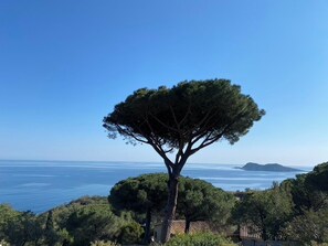 Miscellaneous - New!!!  Exceptional villa with ocean views, private beach access, and an infinity pool! (Ramatuelle)
