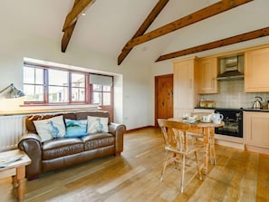 TV - 1 Bed in Penzance (oc-ducks) (Saint Buryan)