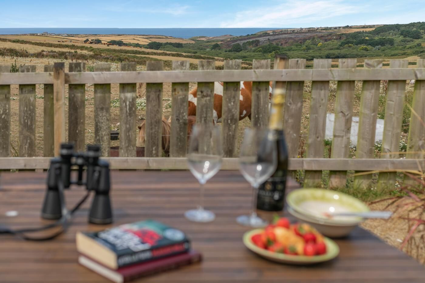 Una mesa de madera con unos binoculares, una botella de vino, una copa, libros y un plato de fresas.