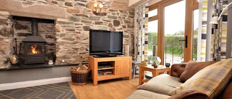 TV, fireplace