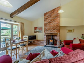 Fernseher, Kamin
