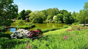 Un jardin paisible avec un étang, une végétation luxuriante et un petit pont.