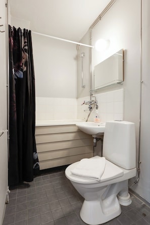 Hair dryer, towels, soap, toilet paper - Cozy Apartment in the City Center (Rovaniemi)