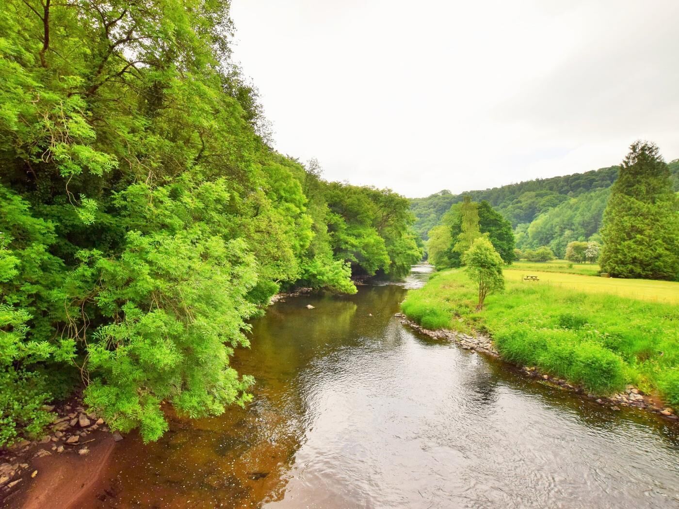 Une rivière qui traverse une zone boisée, bordée de chaque côté d’arbres et de végétation.