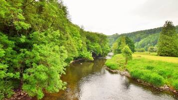 Une rivière qui traverse une zone boisée, bordée de chaque côté d’arbres et de végétation.