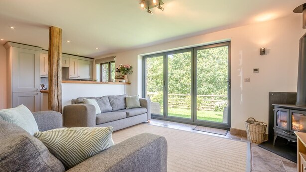 TV, fireplace - 3 Bed in Bude (oc-woott) (Poundstock)