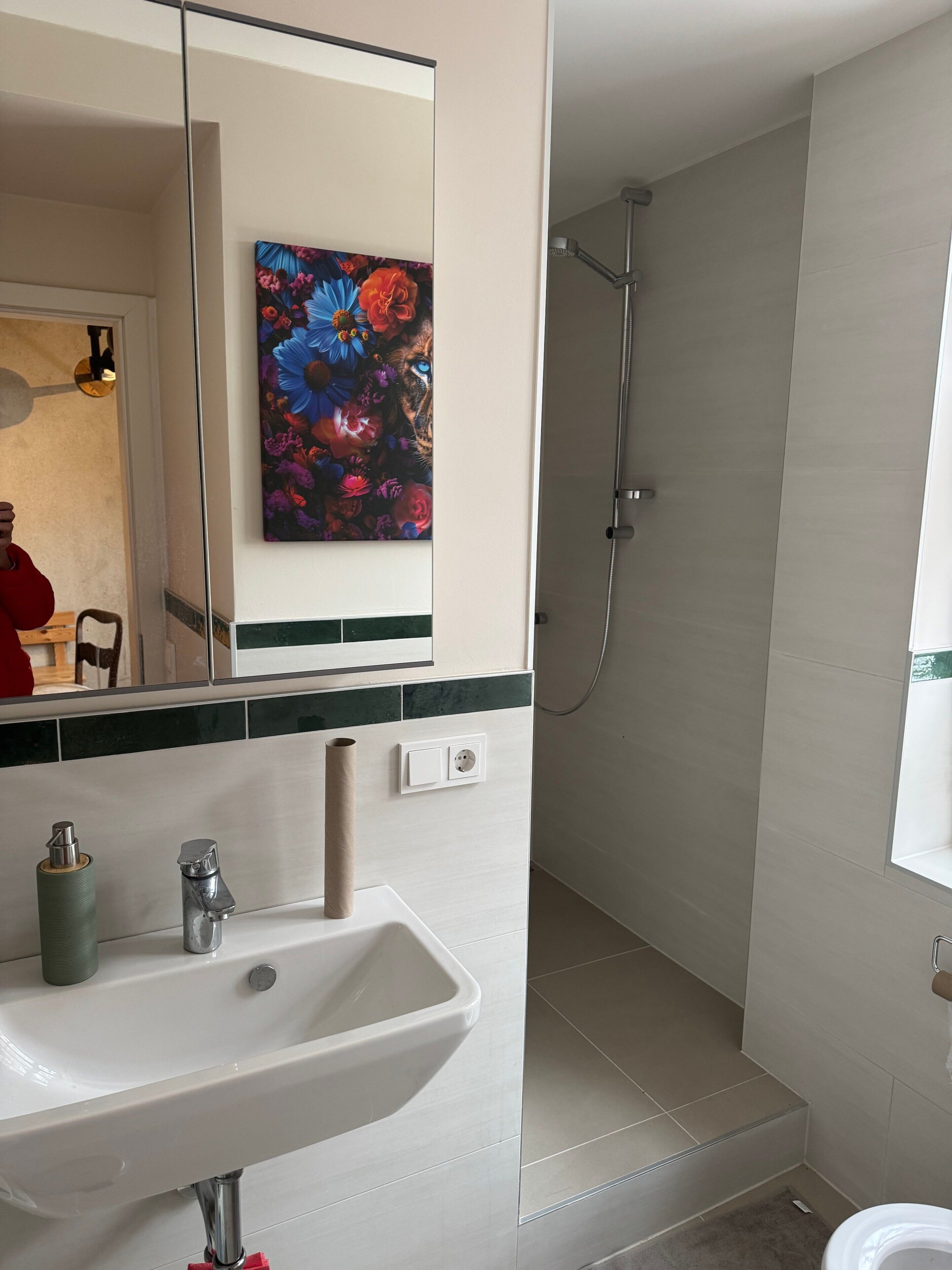Dusche, Haartrockner