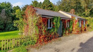 Eksteriør