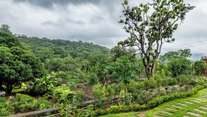 A lush garden with a variety of plants and a large tree. - CosmicStays Yutori  (Mulshi)