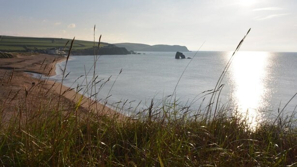 Playa