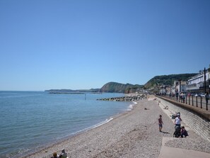 Beach - 1 Bed in Sidmouth (oc-swcom) (Sidbury)