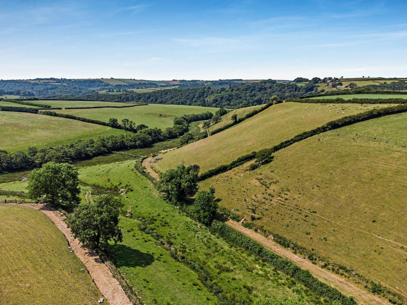 Un paysage rural caractérisé par des collines douces, un chemin de terre et des arbres dispersés.