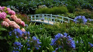 Um jardim com uma ponte de madeira, diversas flores e vegetação.