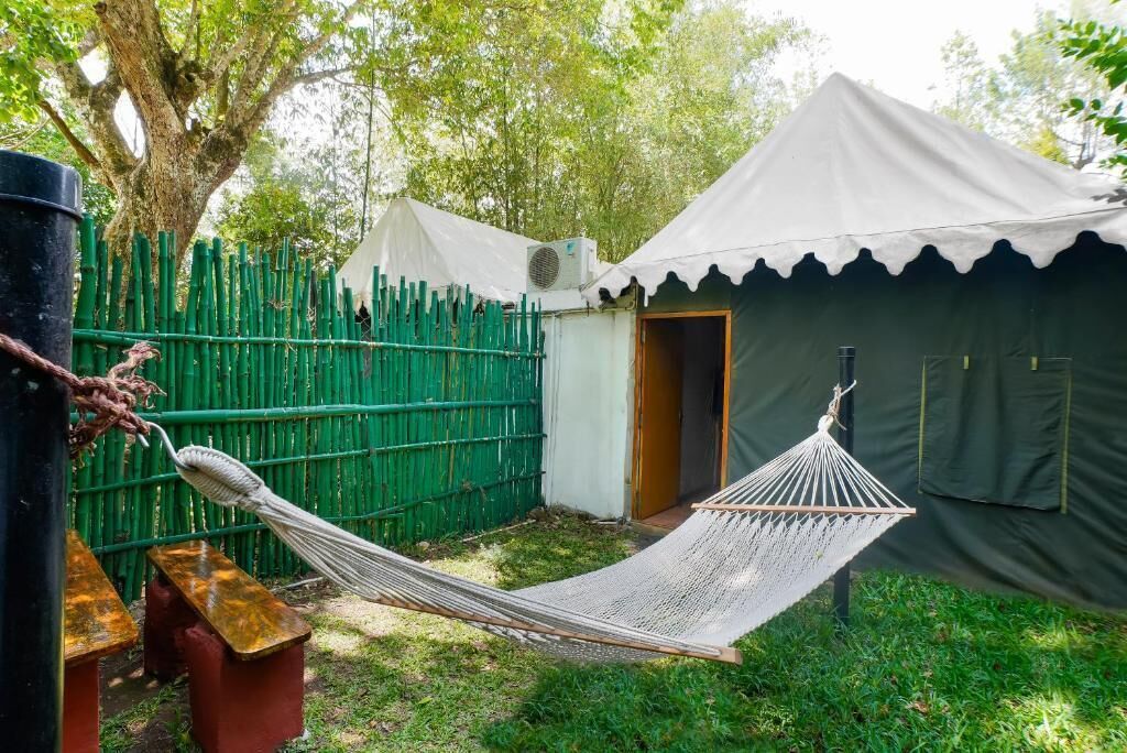 A hammock in a grassy area with a green fence and a tent in the background.