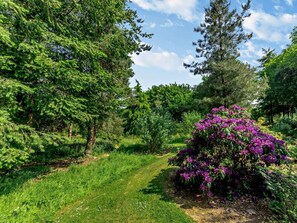 A garden with a variety of trees and a bush of purple flowers. - 1 Bed in South Molton (oc-chevi) (South Molton)