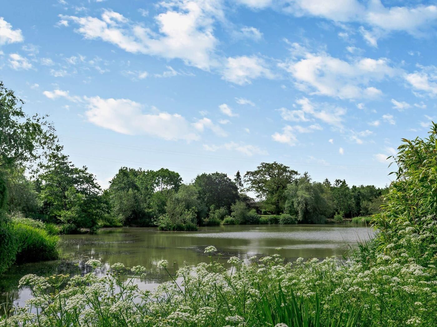 Un lago tranquilo rodeado de abundante vegetación y árboles.