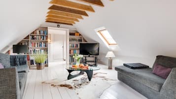 TV, fireplace