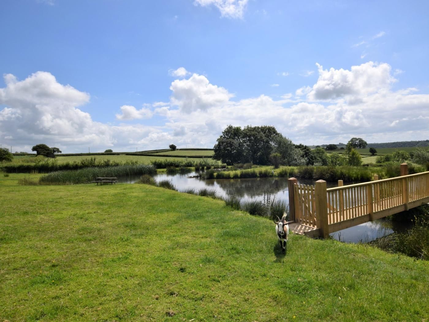 A grassy field with a wooden bridge over a calm water body, surrounded by trees and rolling hills.