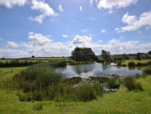 Eine friedliche Landschaft mit einem Teich, umgeben von üppigem Grün und wolkenlosem, blauem Himmel.